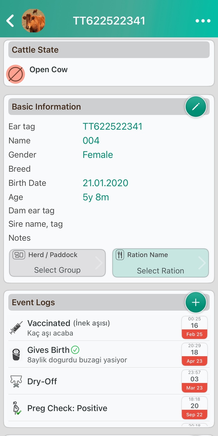 Individual Cow Tracking